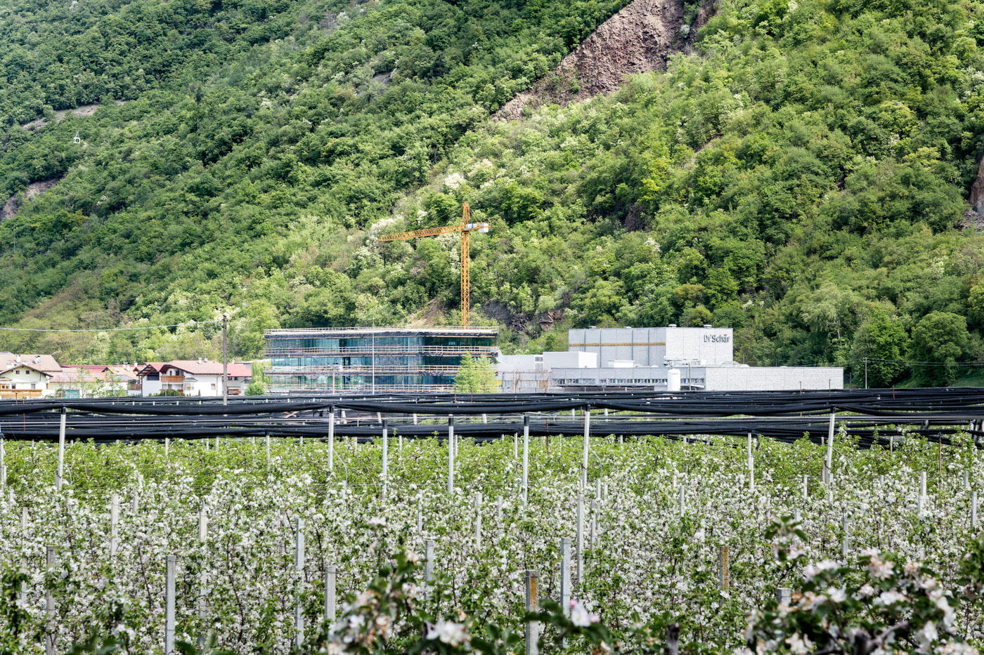 Evento architettura; Cantiere Dr. Schär; Under Costruction; Cantiere Alto Adige; studio monovolume architecture + design; monovolume Bolzano; architettura Alto Adige; studio architettura Bolzano; monovolume architetti