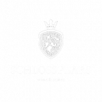 Schloss Plars; client; logo; monovolume architecture + design